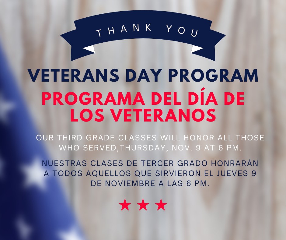  VD Program